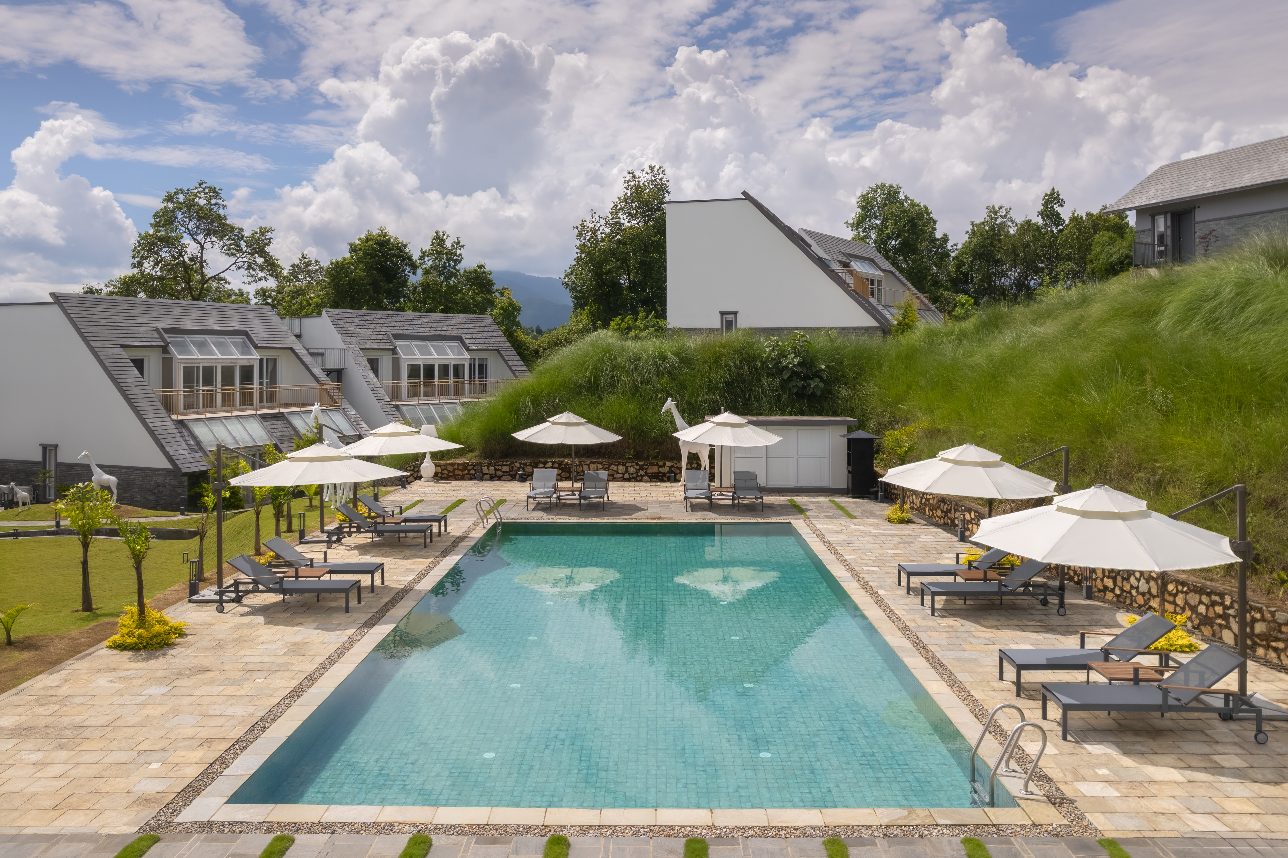 AMN - Swimming Pool 01.jpg